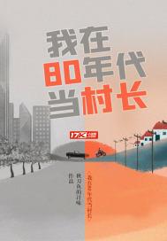 我在80年代当村长txt下载